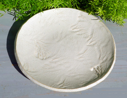 体験作品　押文皿